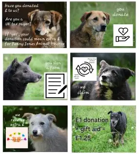 Explanation of how Gift Aid can boost donations to Penny Jones Animal Hospice, Hethersgill, CARLISLE